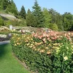 Zum Lieben Augustin Am See 4* Вассербург